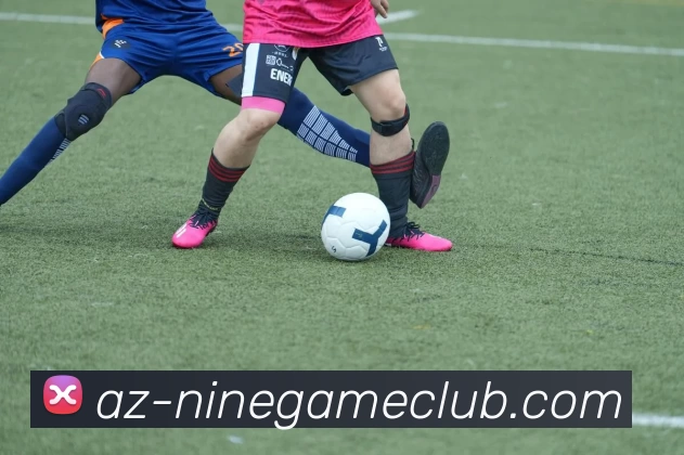 九游官方网站平台生态图